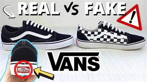 vans shoes true or false